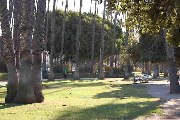 DSC 0019