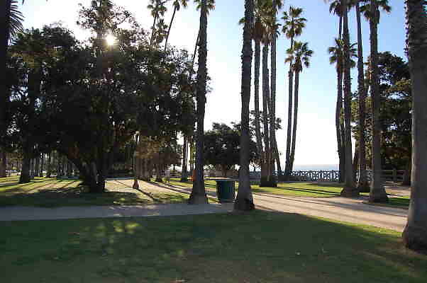 DSC 0001