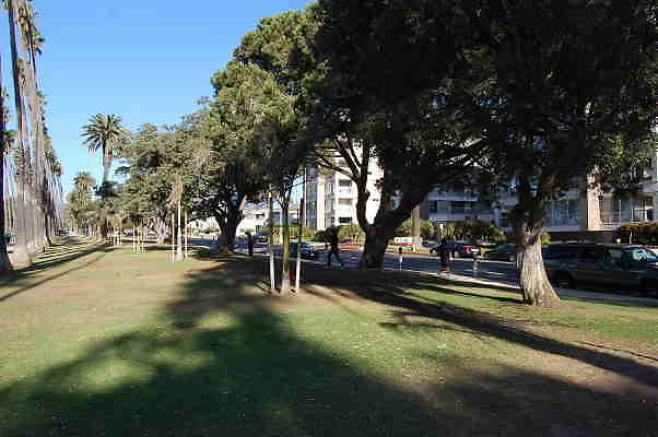 DSC 0004