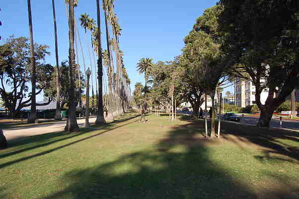 DSC 0007