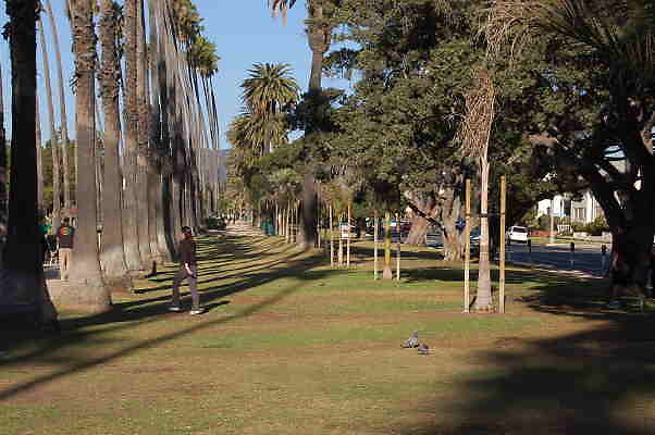 DSC 0008