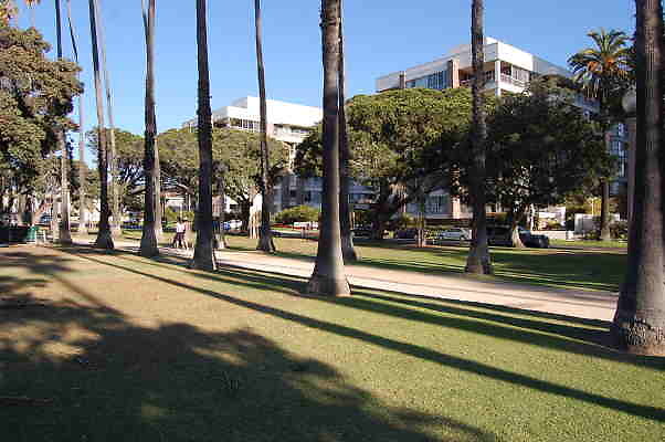 DSC 0015