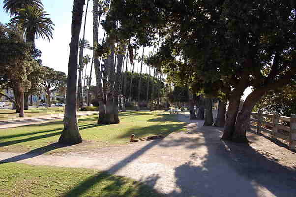 DSC 0017