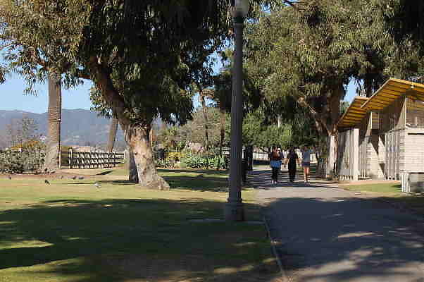 DSC 0100