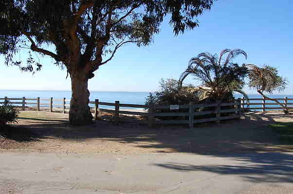 DSC 0079