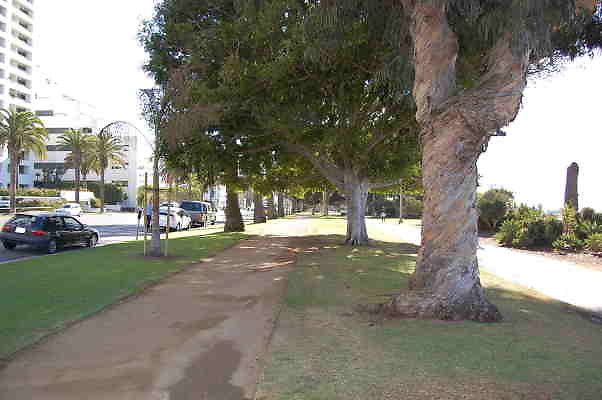 DSC 0111