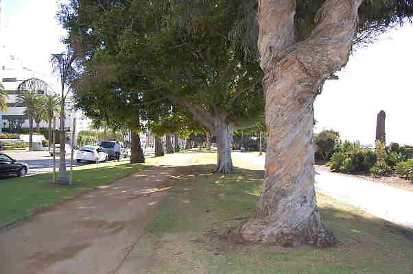 DSC 0113