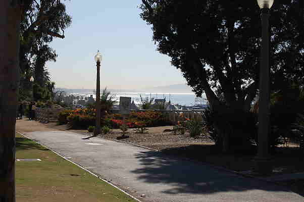 DSC 0082