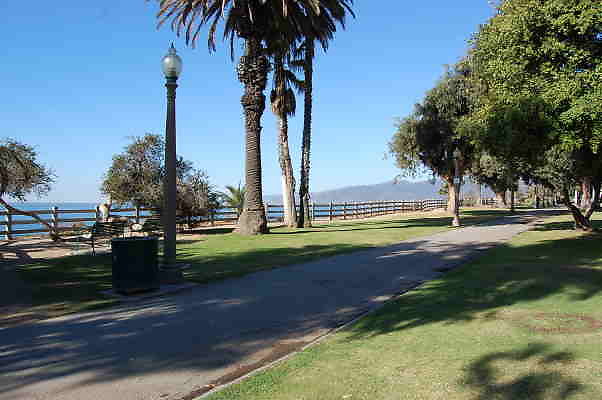 DSC 0080