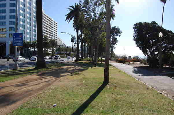 DSC 0081