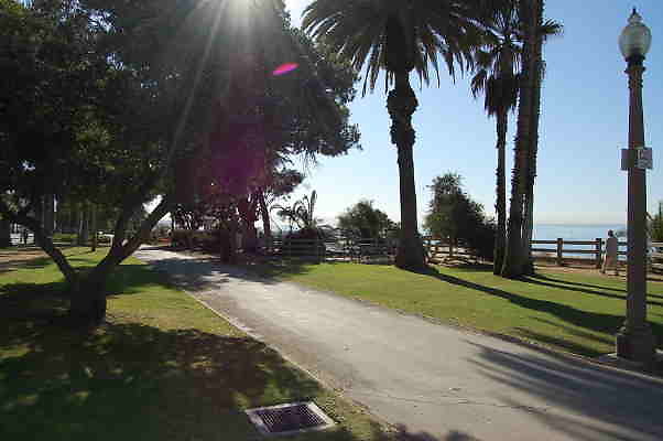 DSC 0086