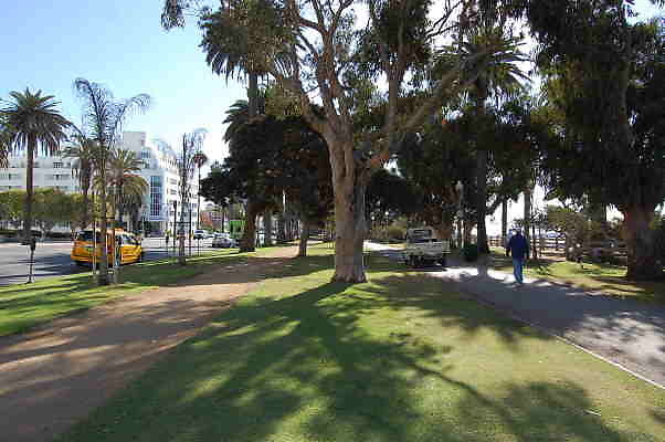 DSC 0119