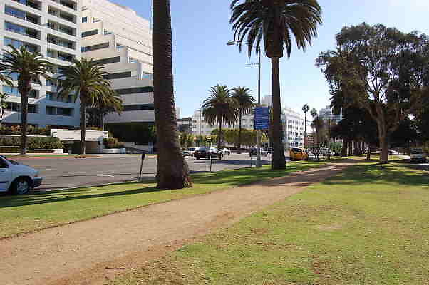 DSC 0067