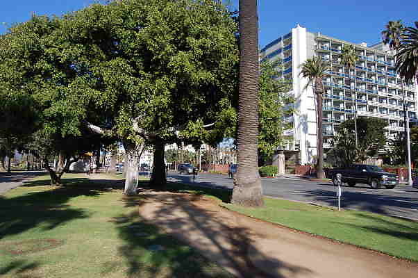 DSC 0075