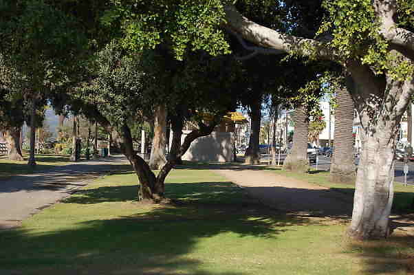 DSC 0085