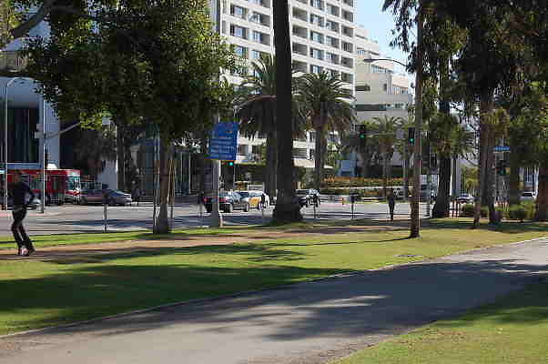 DSC 0101