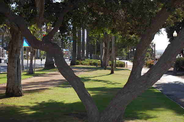 DSC 0093
