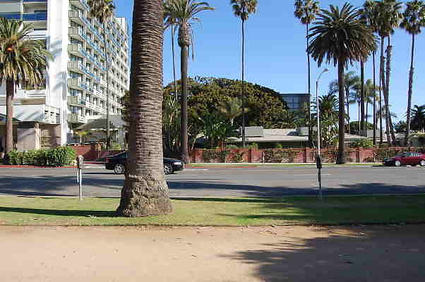 DSC 0090