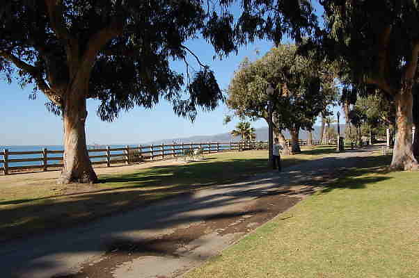 DSC 0088