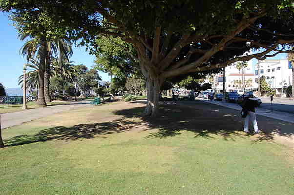 DSC 0224