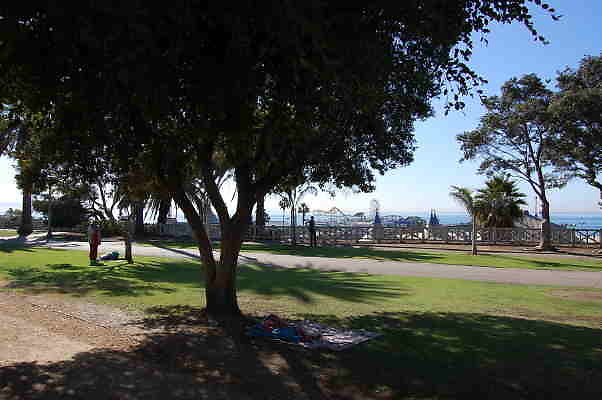 DSC 0207