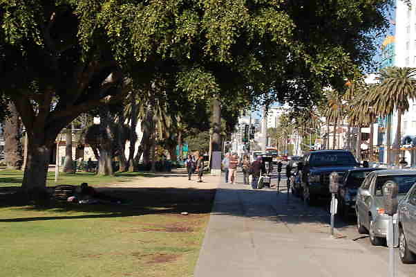 DSC 0235