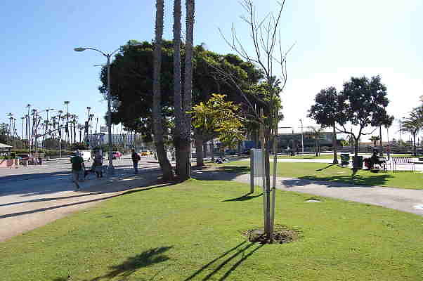 DSC 0276