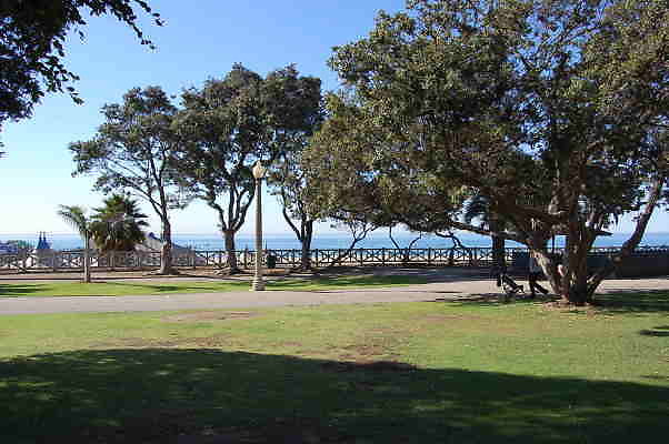 DSC 0208