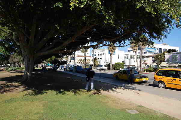 DSC 0221