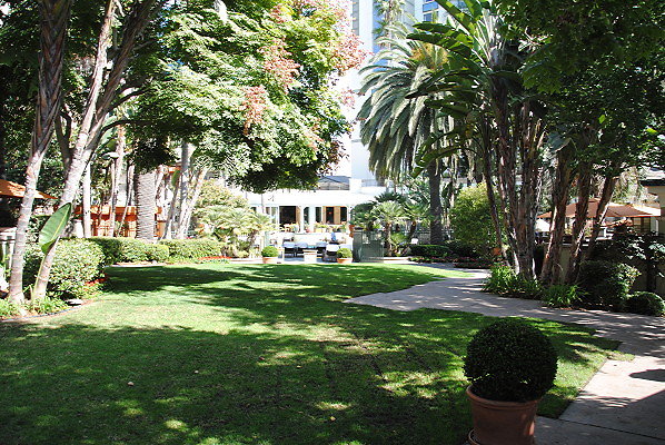 DSC 0046