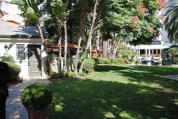 DSC 0045