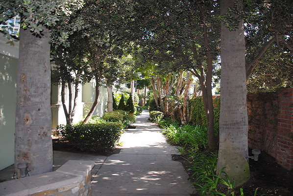 DSC 0074