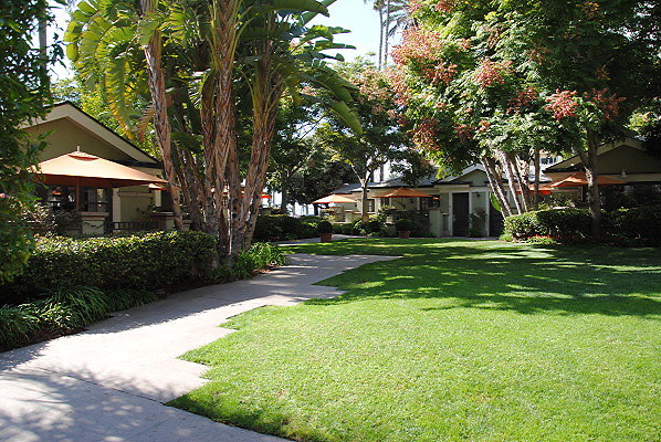 DSC 0020