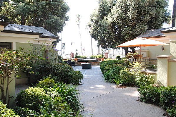 DSC 0042