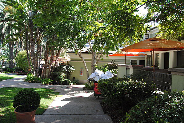 DSC 0047