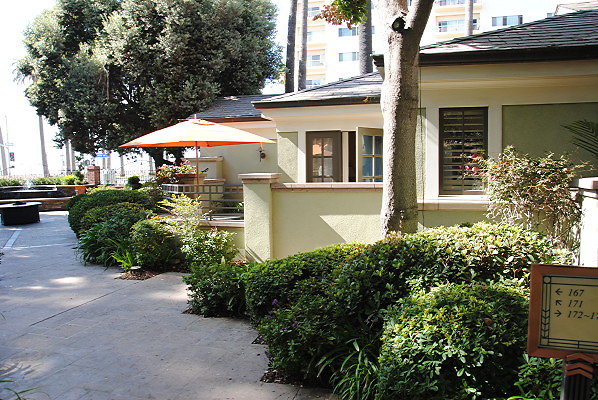 DSC 0044