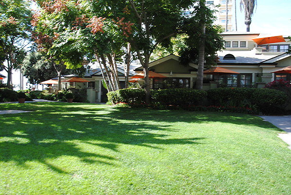 DSC 0041