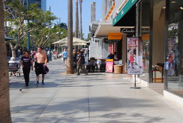 DSC 0369