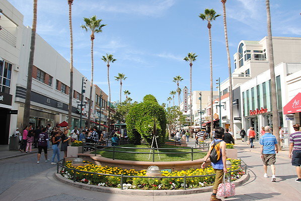 DSC 0341