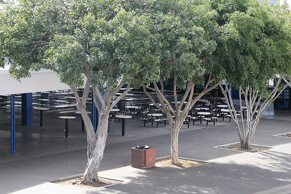 Cafeteria-Eating Areas-5