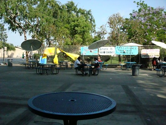 Marshall.Cafe.18
