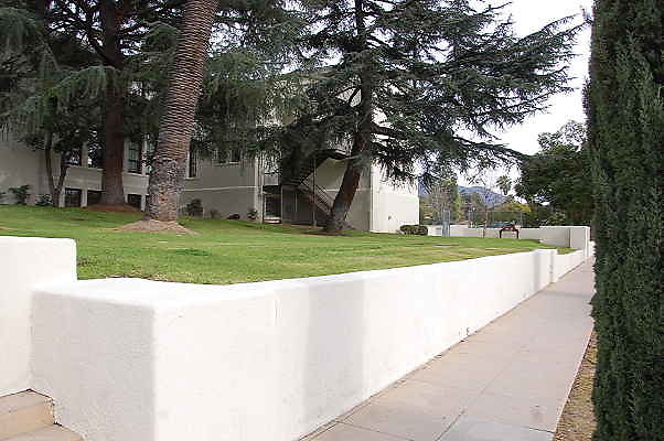 DSC 0211