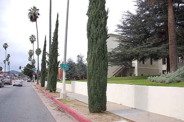 DSC 0206