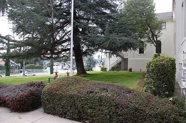 DSC 0235