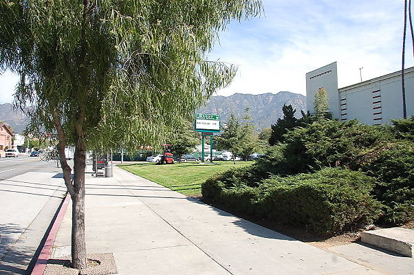 DSC 0002