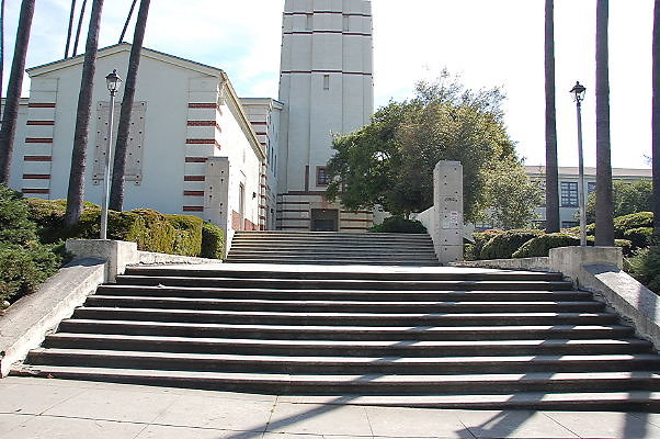 DSC 0003