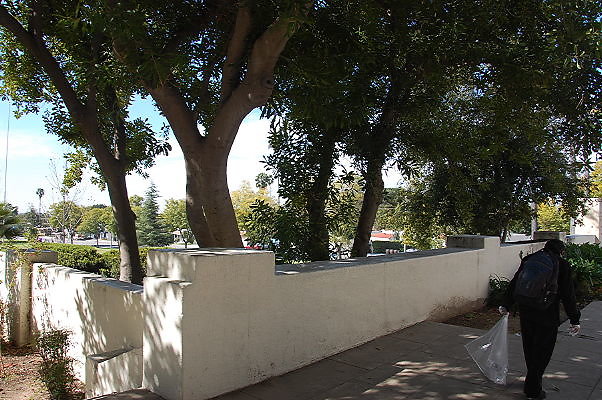DSC 0020