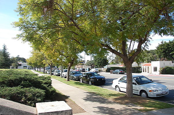 DSC 0005