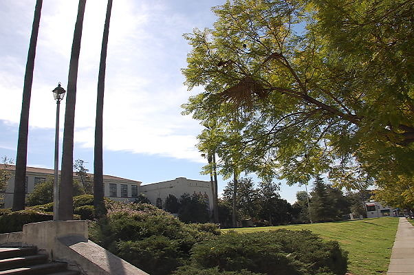 DSC 0010