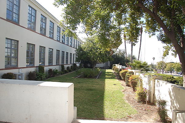 DSC 0019